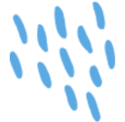 shape